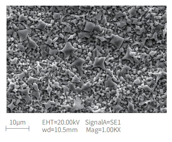¿Cuáles son las diferencias entre epitaxia y ECV?